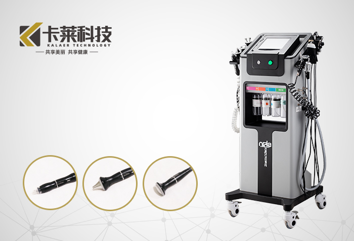 PZL-B 皮肤综合管理仪